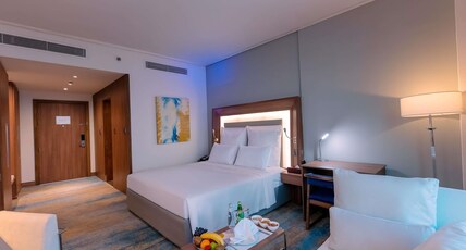 Novotel Jazan Hotel Room Type - Standard Room with 1 double bed