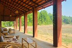 BaghinDhara: Stream of the Tigress
