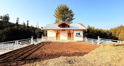 Pear Meadows Tangmarg Room Type - 2 Room Cottage