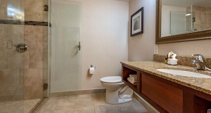 Best Western Plus Oswego Hotel and Conference Center Room Type - 1 King Bed, Non-Smoking, Lake View, Balcony, Microwave And Refrigerator, High Speed Internet Access, Best Western Plus Oswego Hotel and Conference Center Room Type - 1 King Bed, Non-Smoking, Lake View, Balcony, Microwave And Refrigerator, High Speed Internet Access,