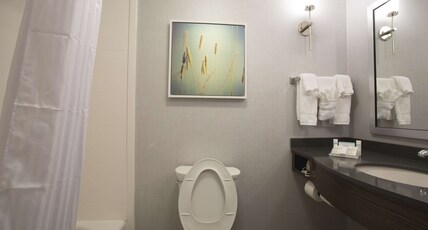 Hilton Garden Inn Bolingbrook I-55 Room Type - 2 QN HEARING ACCESSIBLE