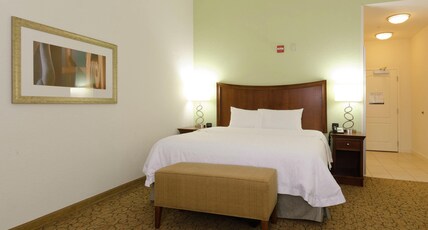 Hampton Inn by Hilton Hickory Room Type - 1KNG MOB HEAR ACC W TUB NS