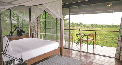 The Source at Sula Room Type - Tree House Vineyard view