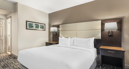 DoubleTree by Hilton Williamsburg Room Type - 1 KING W SOFABED NOSMOKING