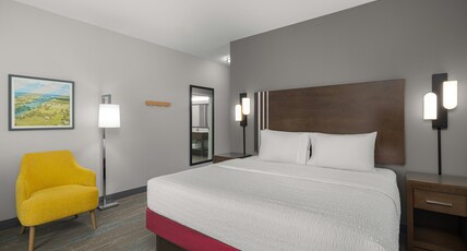 Hampton Inn by Hilton Kenedy Room Type - 1 KING SFBD MIC FRG NS