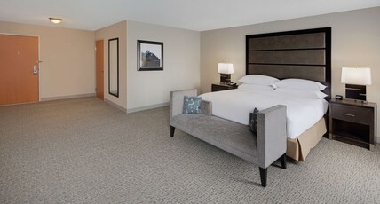 DoubleTree by Hilton Richmond Airport Room Type - 1 KING MOB HEAR ACC TUB