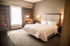 Hampton Inn by Hilton Pontiac