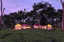 Grasshopper Acacia Eco Resort