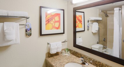 Holiday Inn Austin Midtown Room Type - 1 King Executive Standard Balcony