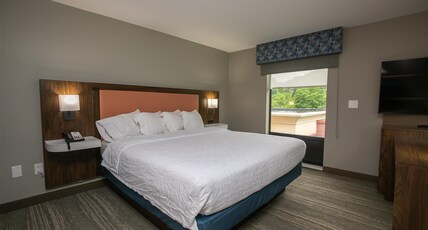 Hampton Inn & Suites by Hilton Wilder Room Type - 1KNG STUDIO SOFABED NOSMOK