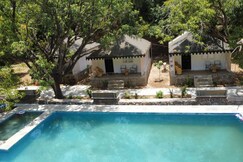 The Choclate Frog Udaipur