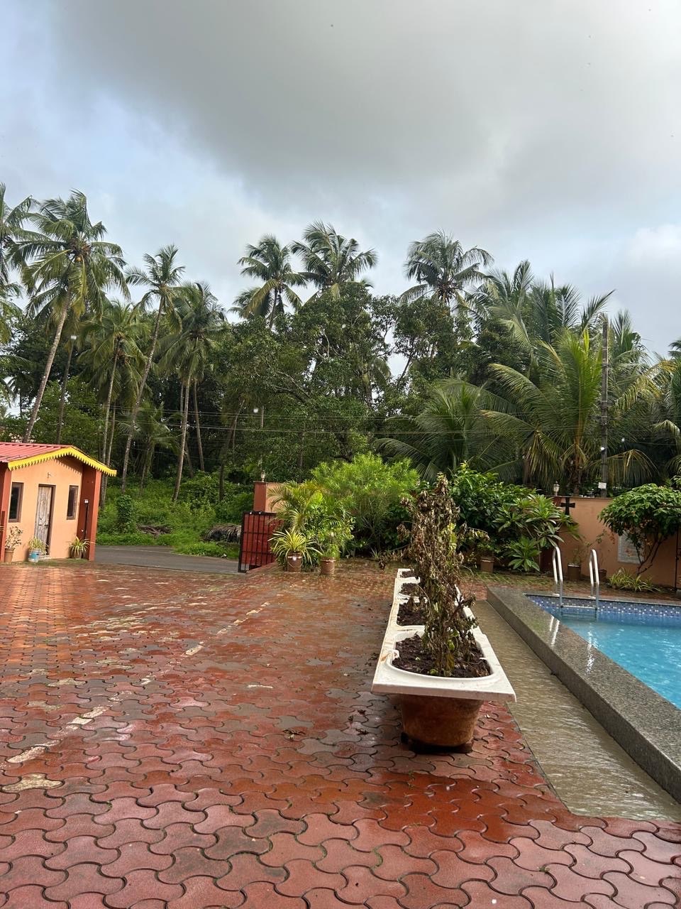 Budget Friendly 2BHK Apartment with pool near baga - Tap to explore photos