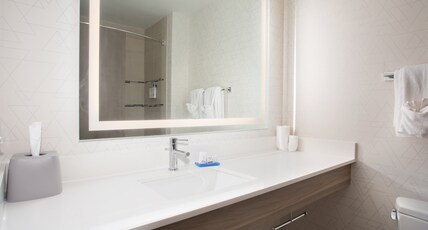 Holiday Inn Express Hotel & Suites Grand Junction Room Type - 1 King Standard
