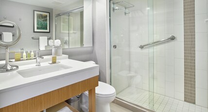 DoubleTree by Hilton Edmonton Downtown Room Type - 1 KING BED W  SOFABED