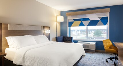 Holiday Inn Express Hotel and Suites Fort Worth/I-20 Room Type - 1 King Bed Standard