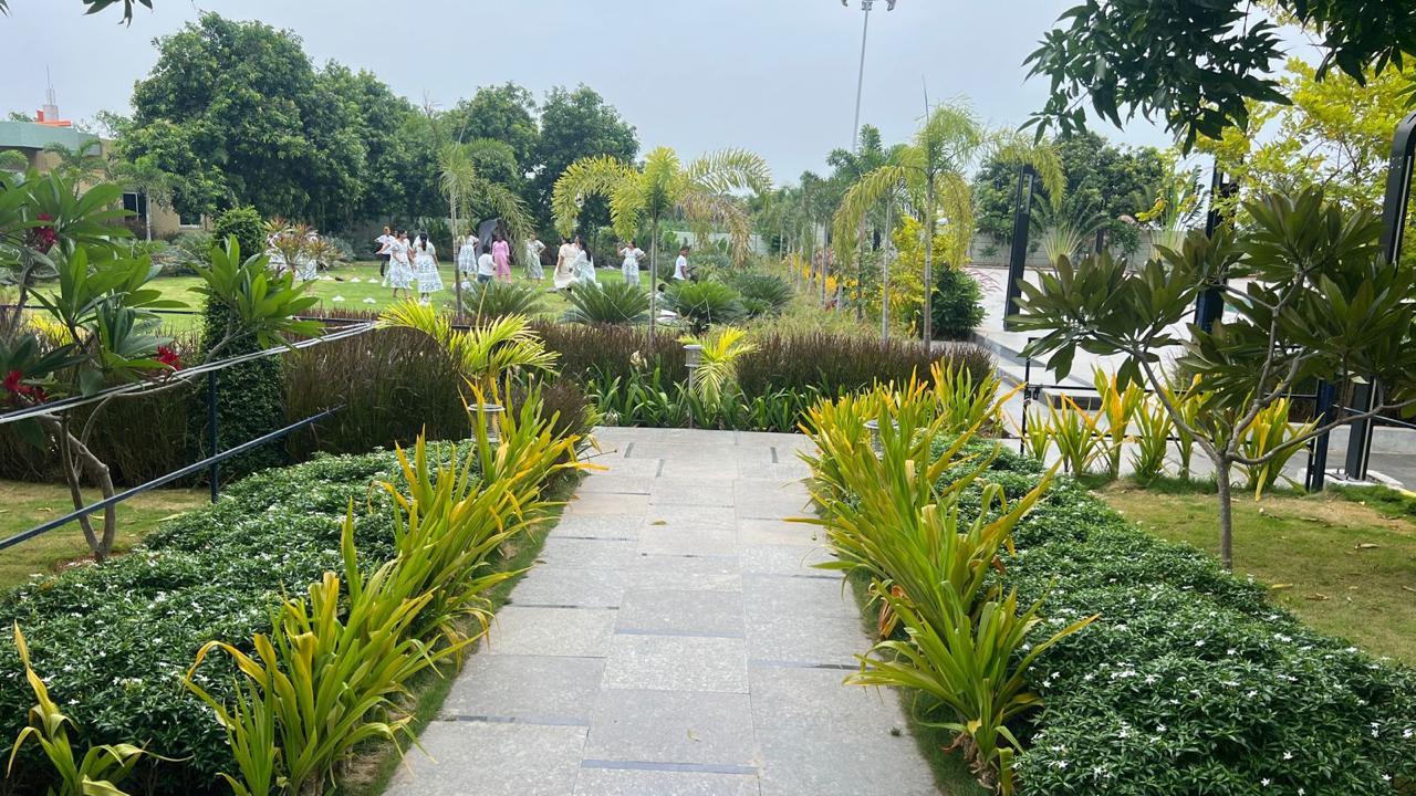 Main gallery