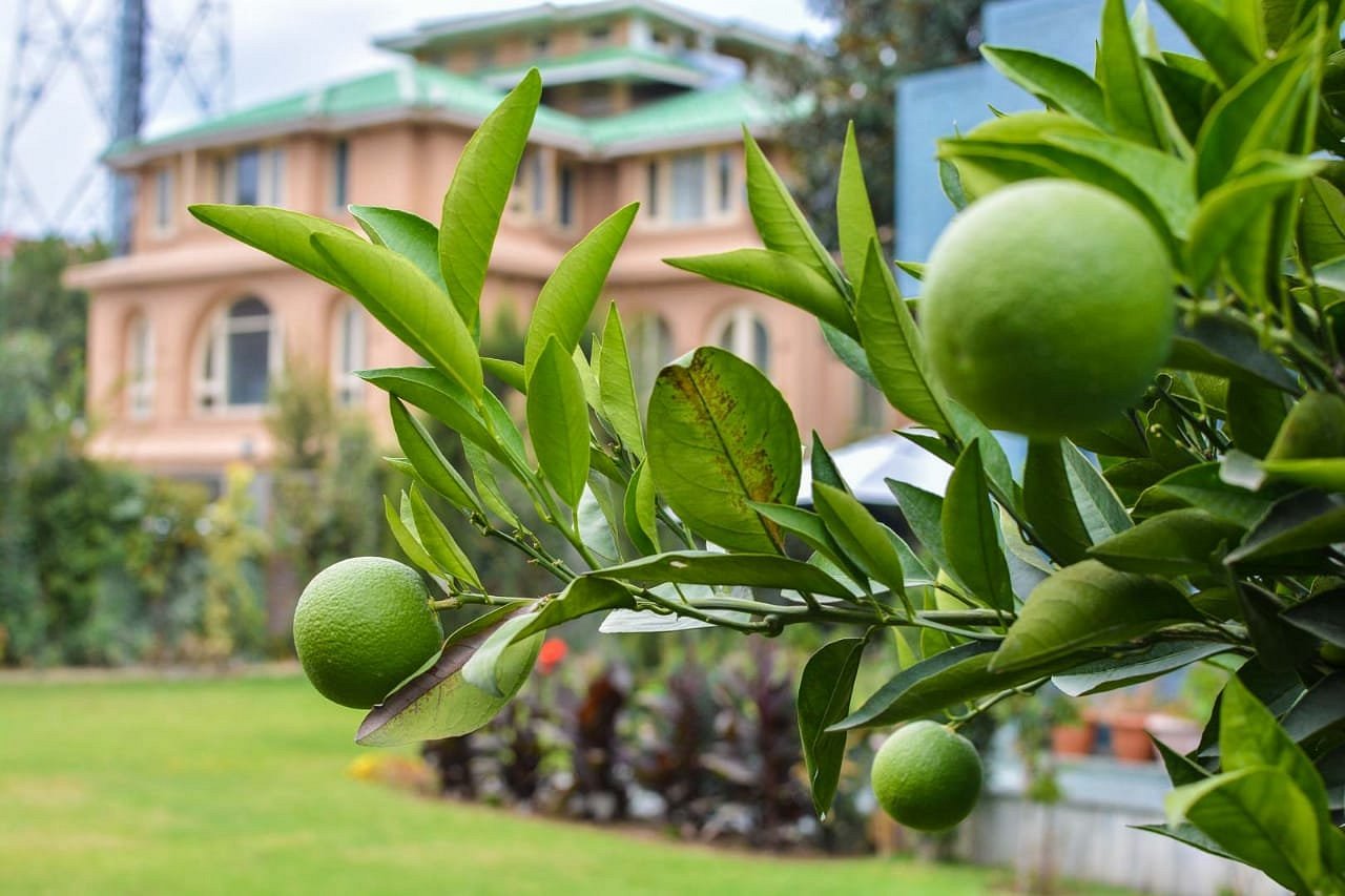 Shuhul - Tap to explore photos