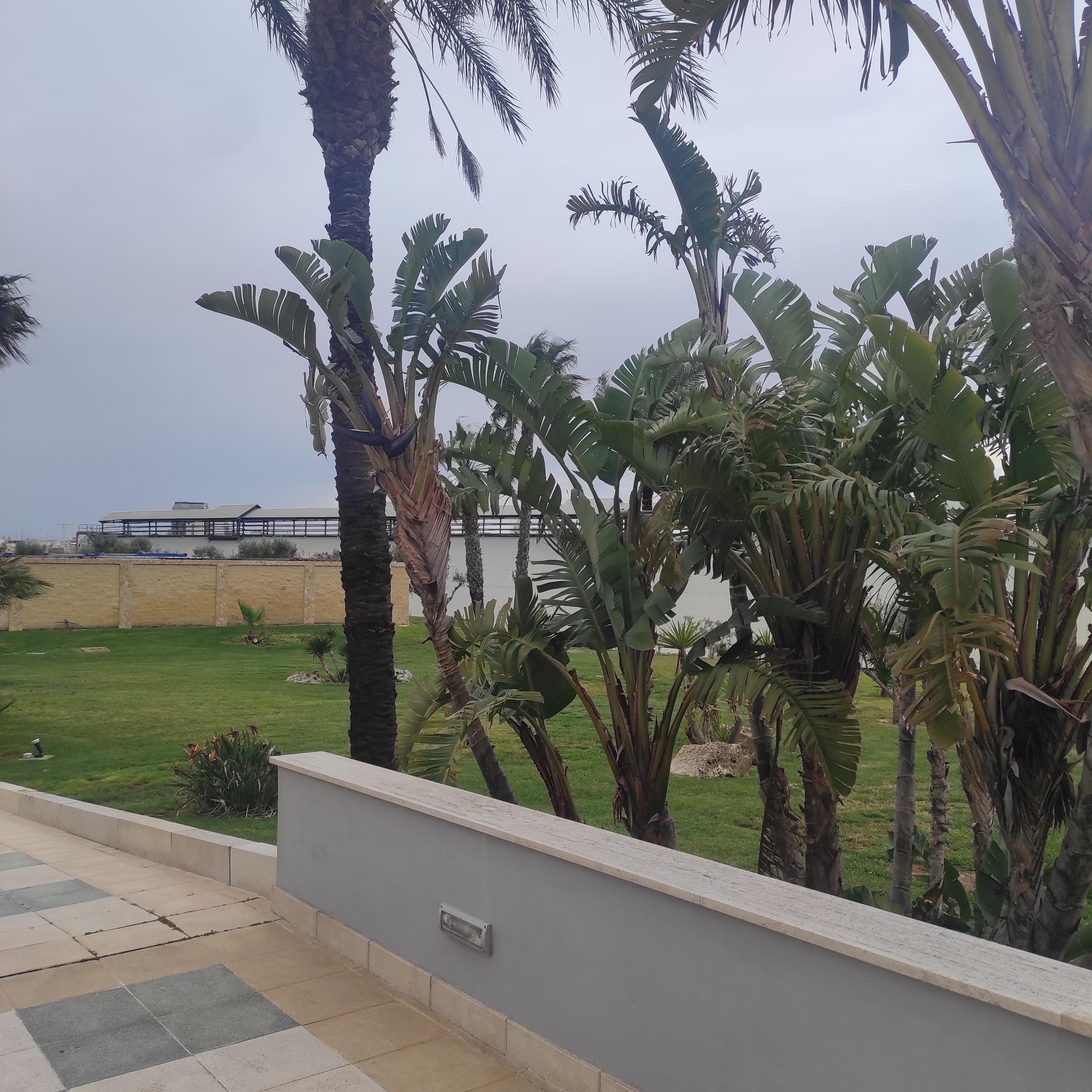 Best Western Hotel Nettuno - Tap to explore photos