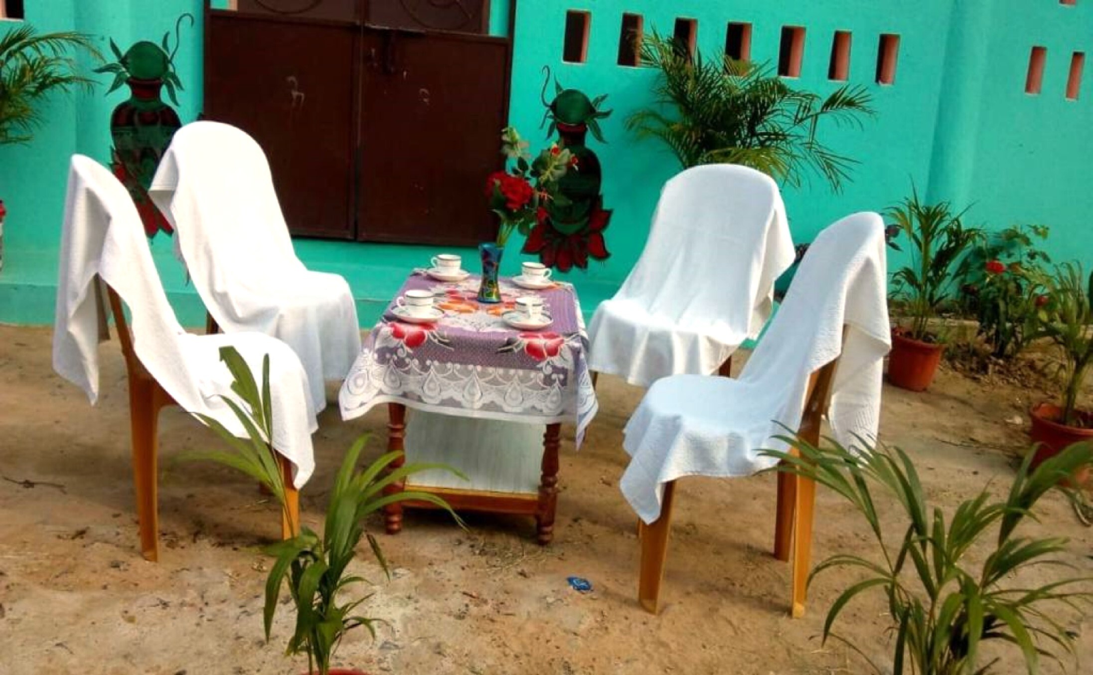 Mangrove Pitta Homestay - Tap to explore photos