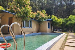 Pine Valley Binsar