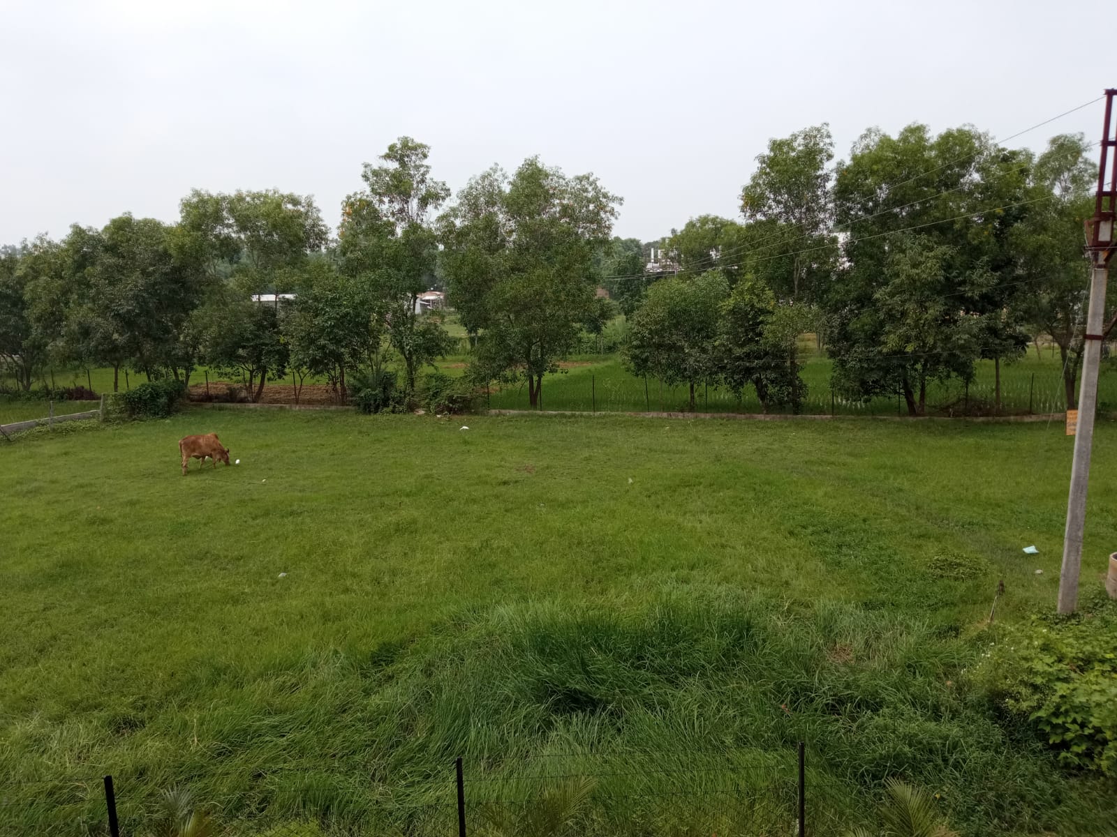 Balaji Holidays Shantiniketan - Tap to explore photos