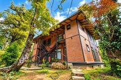 Rooms of Red Panda Jungle Camp-A Luxury Offbeat Nature Resort