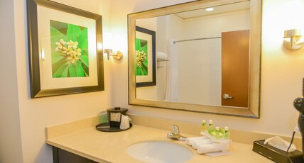 Holiday Inn Express & Suites CUERO Room Type - 1 King Bed Stndrd Mobil Access Roll Shwr