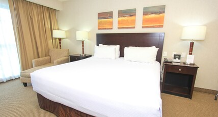 Crowne Plaza LEON Room Type - 1 King Suite
