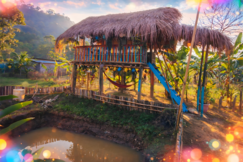 Peace Valley - The Village Retreat
