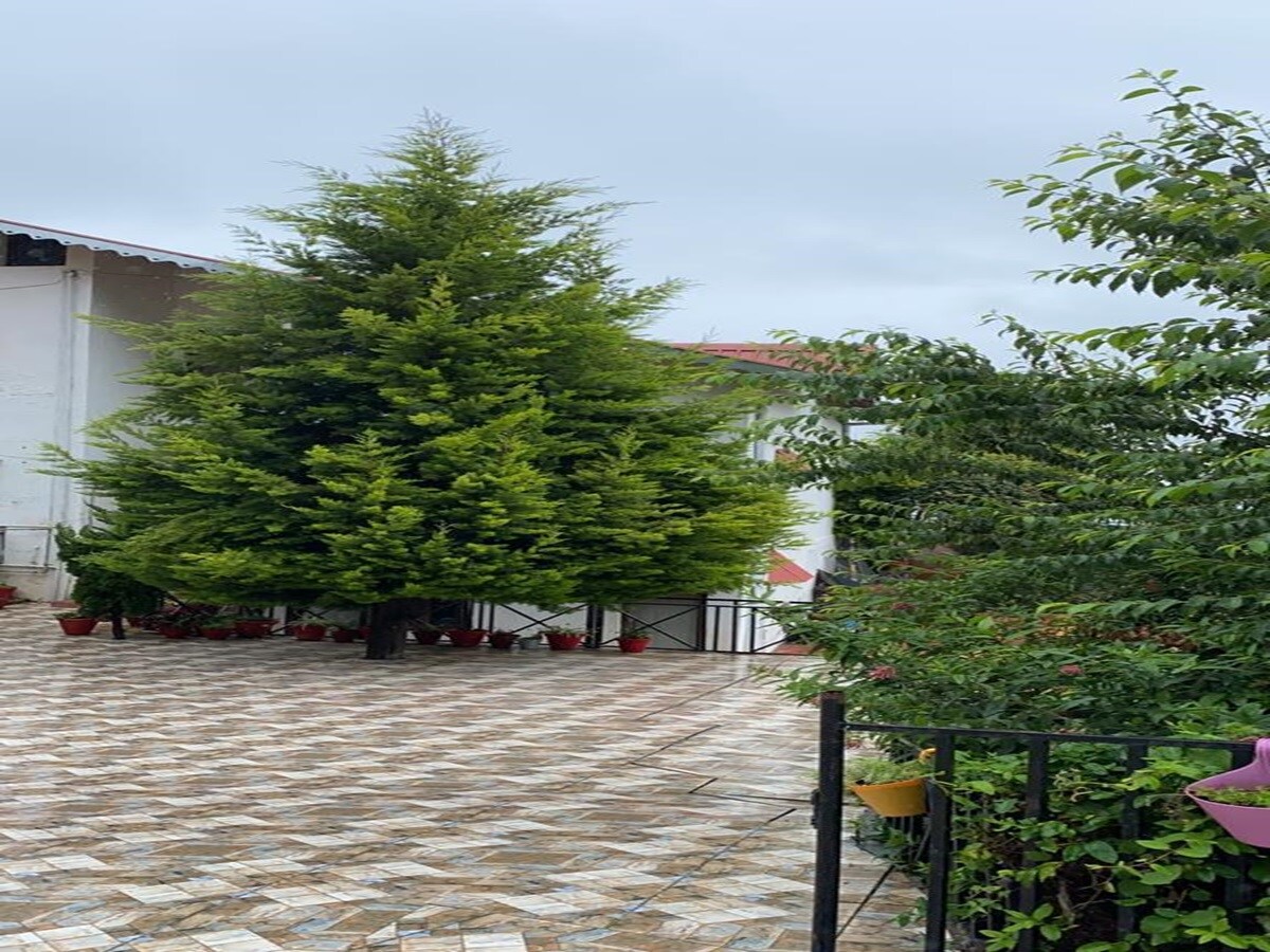 Blissful Villa - Tap to explore photos