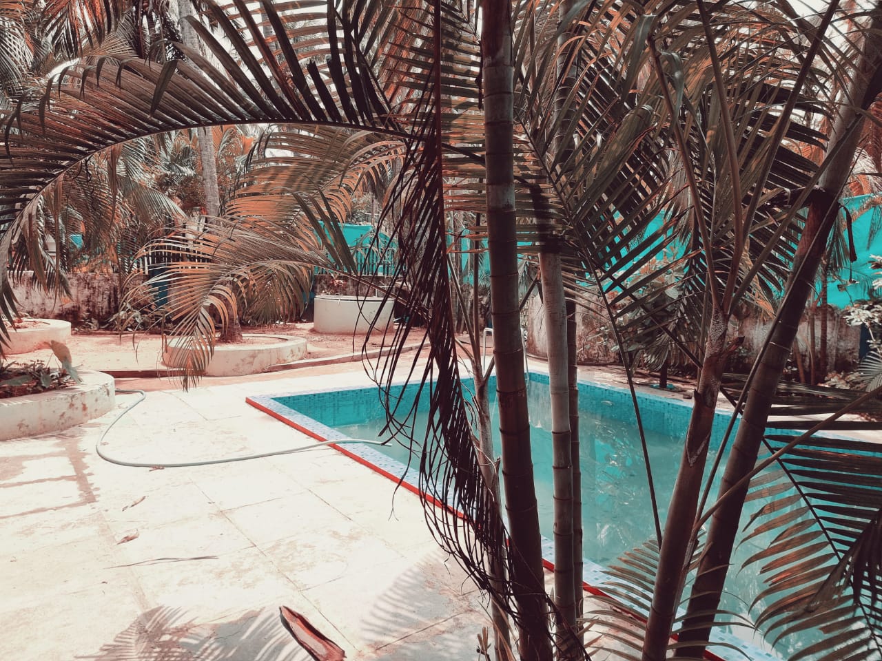 Lazy Palm Beach Apartments | Rooms & Pool - Tap to explore photos
