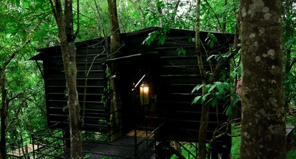 Ranches Jungle Beats Resorts Room Type - JB Nests