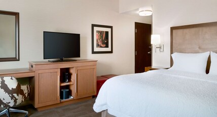 Hampton Inn by Hilton Kanab Room Type - 1KNG MOB HEAR ACC W TUB NS