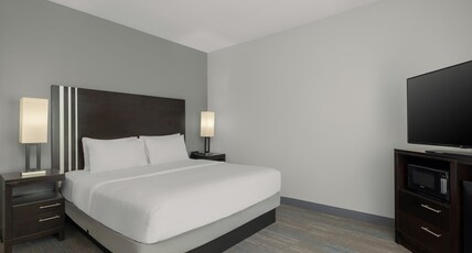 Hampton Inn Pleasanton Room Type - 1 KNG HEARING ACC NOSMOK