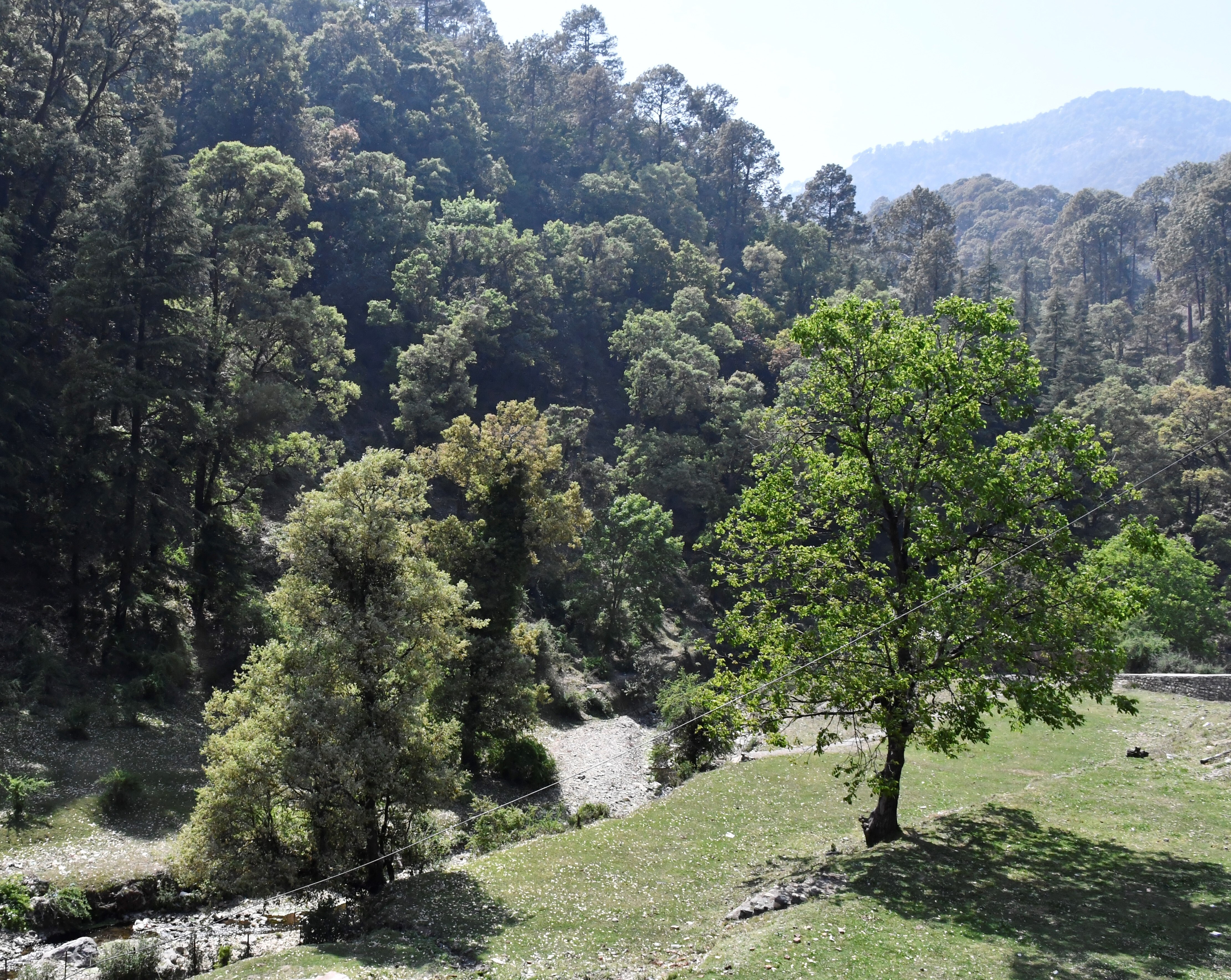 BHAWANI GUEST HOUSE - Tap to explore photos