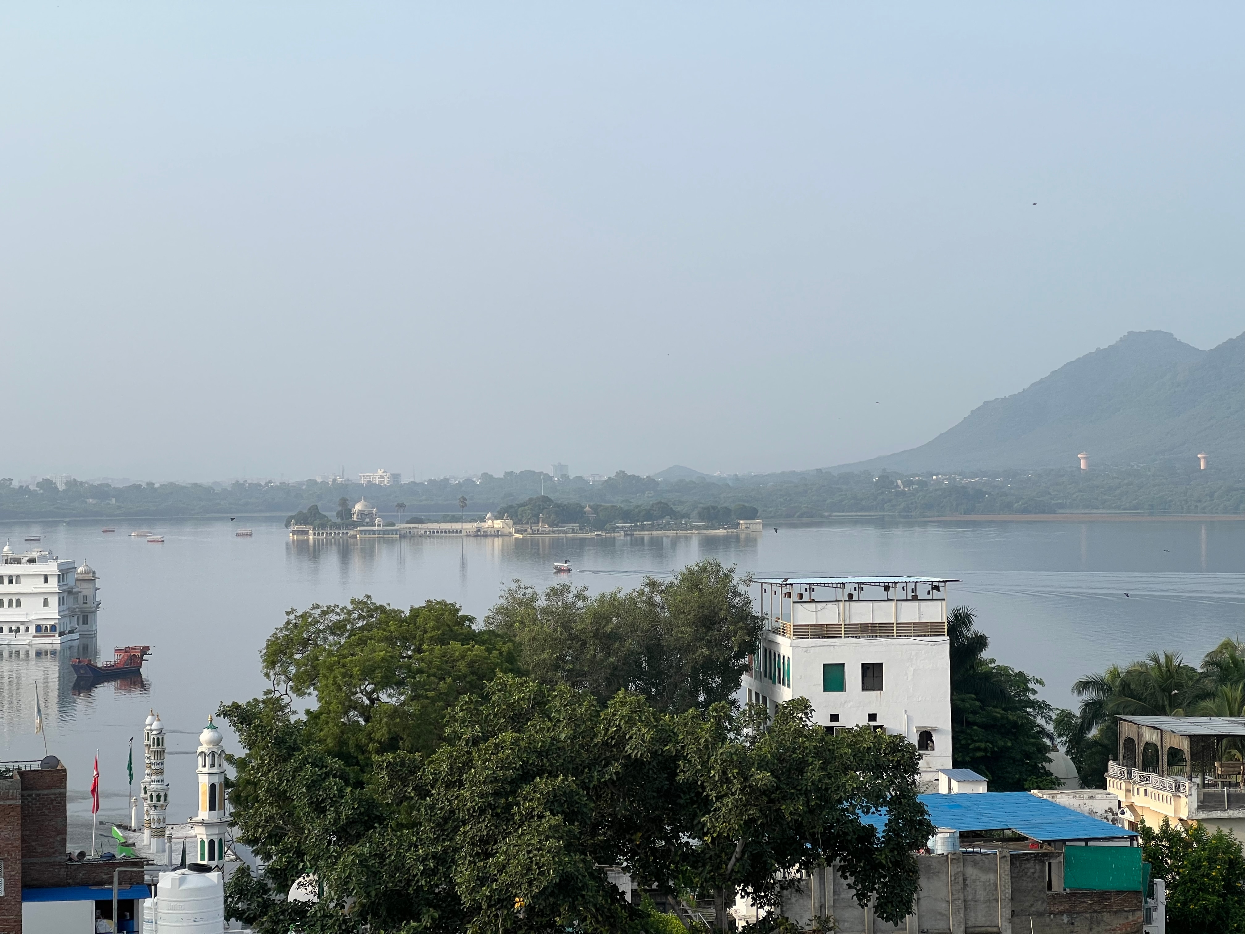 Mild Life Hostel Udaipur |250 Metres from Ambrai Ghat - Tap to explore photos