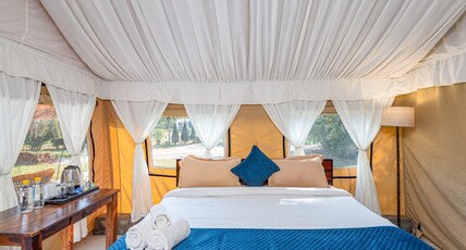 FARM ARAVALIA Room Type - Safari Hill View Tent