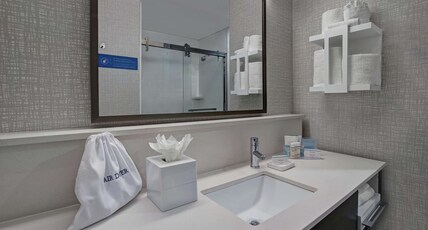 Hampton Inn by Hilton Weslaco Room Type - 1 KNG HR ACC FRG MIC SB NS