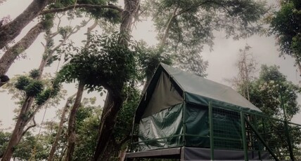 Wonderwoods Camp Munnar Room Type - Bedroom 1