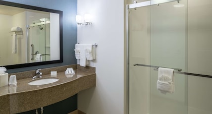 Hilton Garden Inn DFW North Grapevine Room Type - 1 KING 1 BDRM SUITE