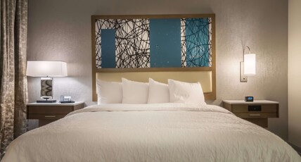 Hampton Inn & Suites The Colony Room Type - 1 KING SFBD FRIDGE  NS