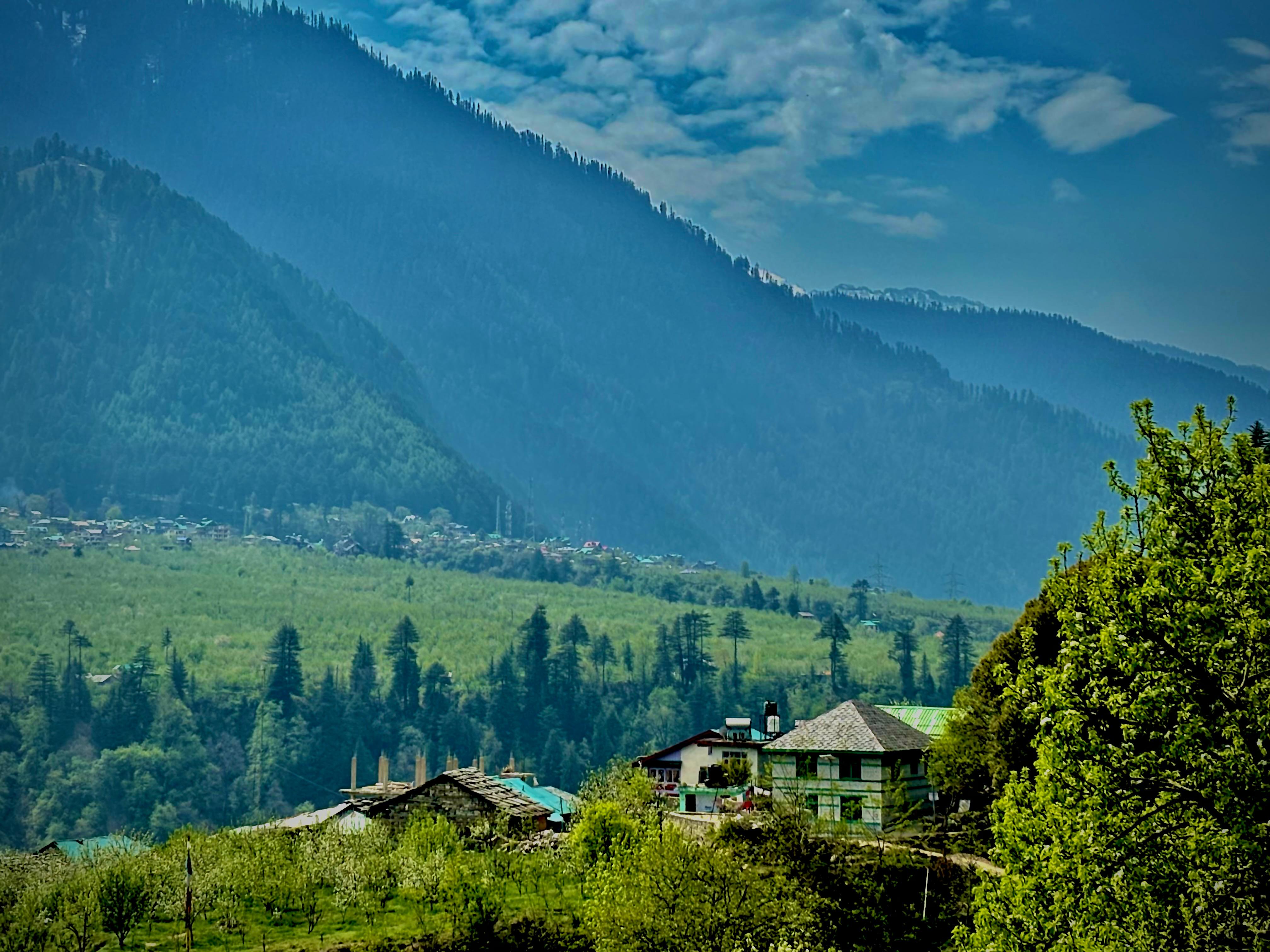 Orchard Heights - Tap to explore photos