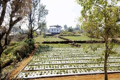 Assort Villa