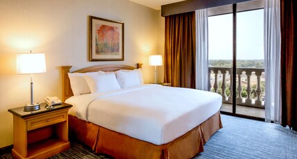 DoubleTree Suites by Hilton Hotel McAllen Room Type - 1KG STE ACC RI SHWR NO SMK