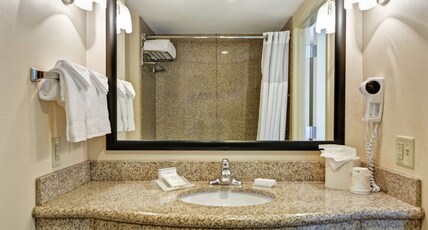 Hilton Garden Inn Conway Room Type - 1 KING BED DELUXE