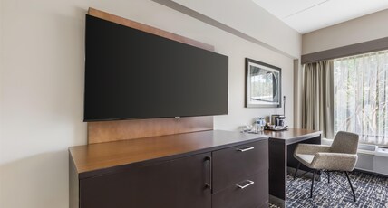 DoubleTree by Hilton Williamsburg Room Type - 2QN MOB HEAR ACC RI-SHW NS
