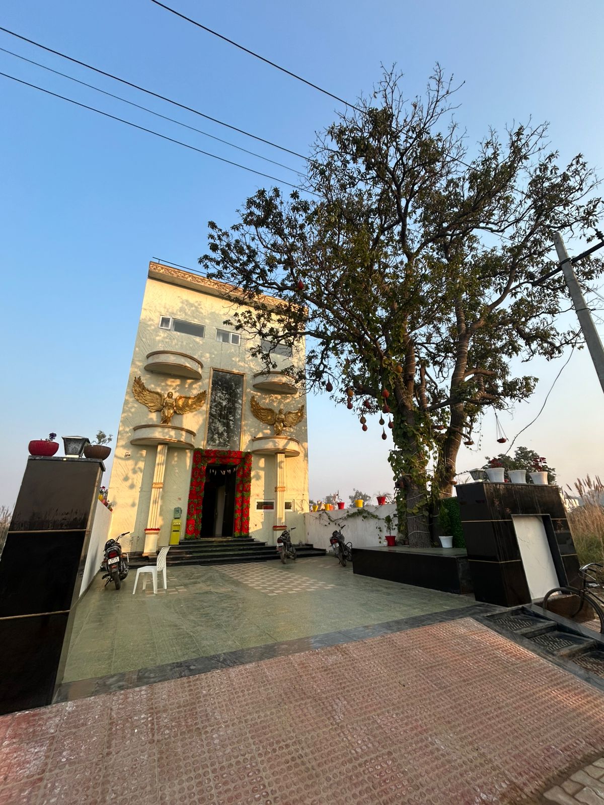 Hotel Mango Tree - Tap to explore photos