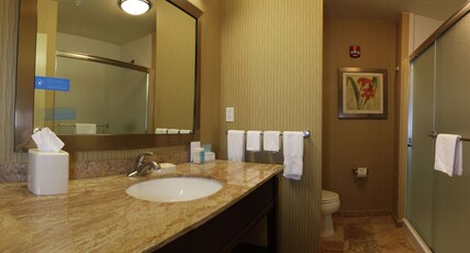 Hampton Inn & Suites Grand Forks, ND Room Type - 1 KING BED NONSMOKING