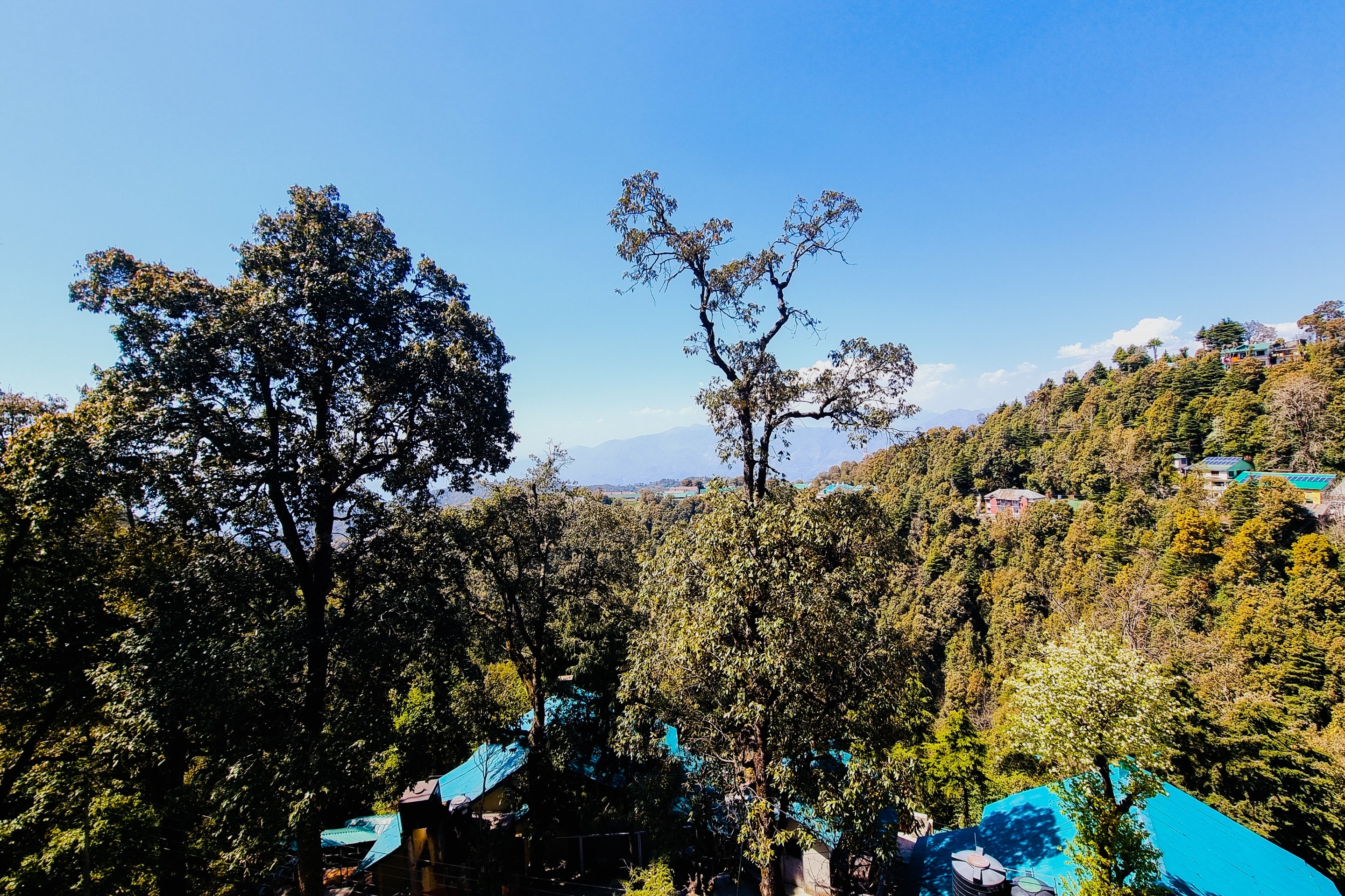 Katson Blue Dalhousie - Tap to explore photos