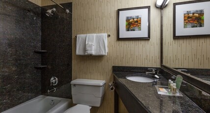 Holiday Inn Chicago North-Evanston Room Type - 2 Queen Beds Standard City View Holiday Inn Chicago North-Evanston Room Type - 2 Queen Beds Standard City View